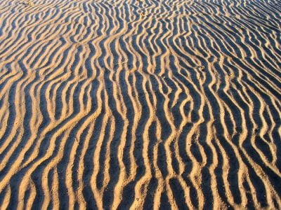 Patterns and Characteristics of Co-Dependency