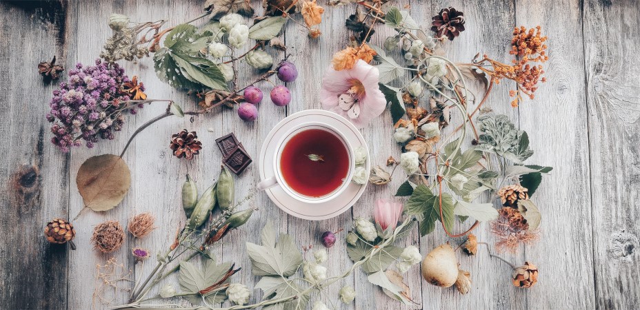 4th – 6th Sept 2026 – CoDA Women’s retreat *SAVE THE DATE*